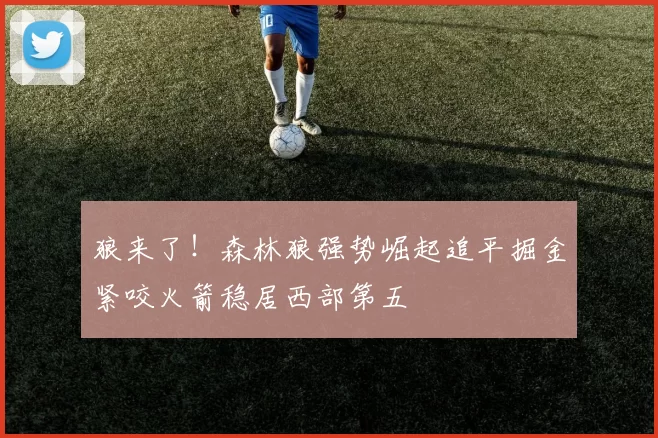 狼来了！森林狼强势崛起追平掘金紧咬火箭稳居西部第五