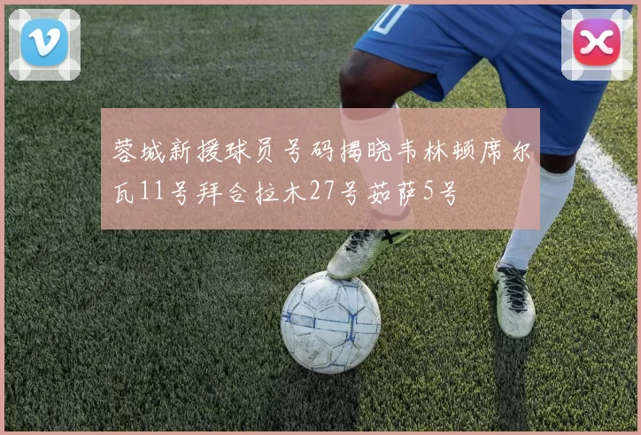 蓉城新援球员号码揭晓韦林顿席尔瓦11号拜合拉木27号茹萨5号